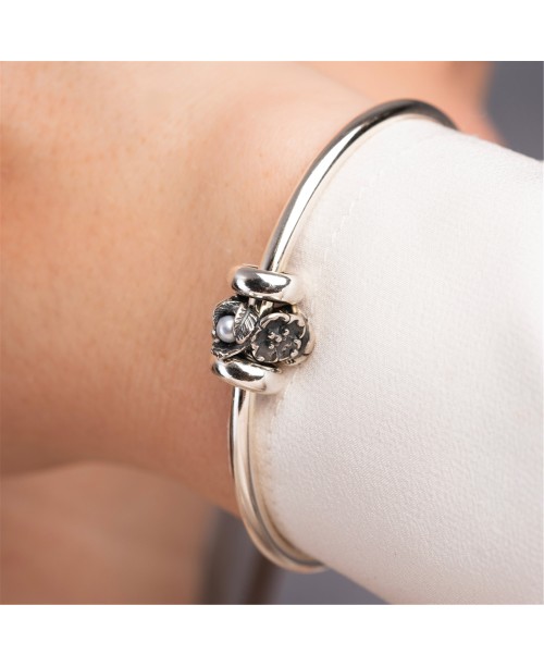 Gegužės Šaltalankis