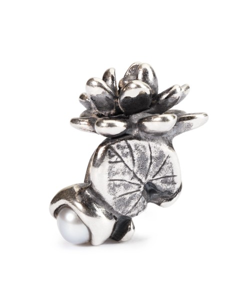 Liepos Vandens Lelijos