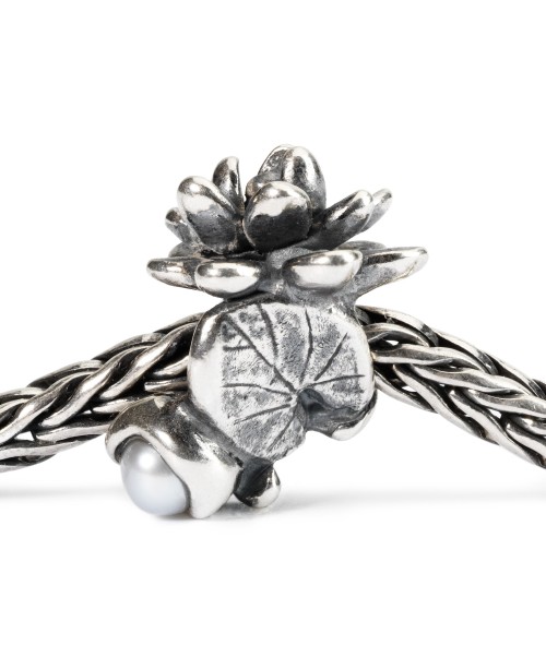 Liepos Vandens Lelijos