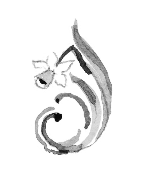 Narcissus of December Bead