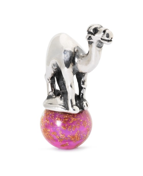 Dromedary Bead
