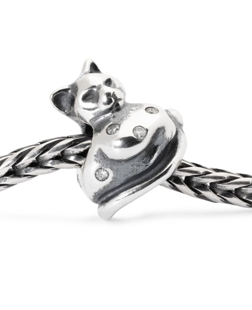 Katinas Mėnesienoje