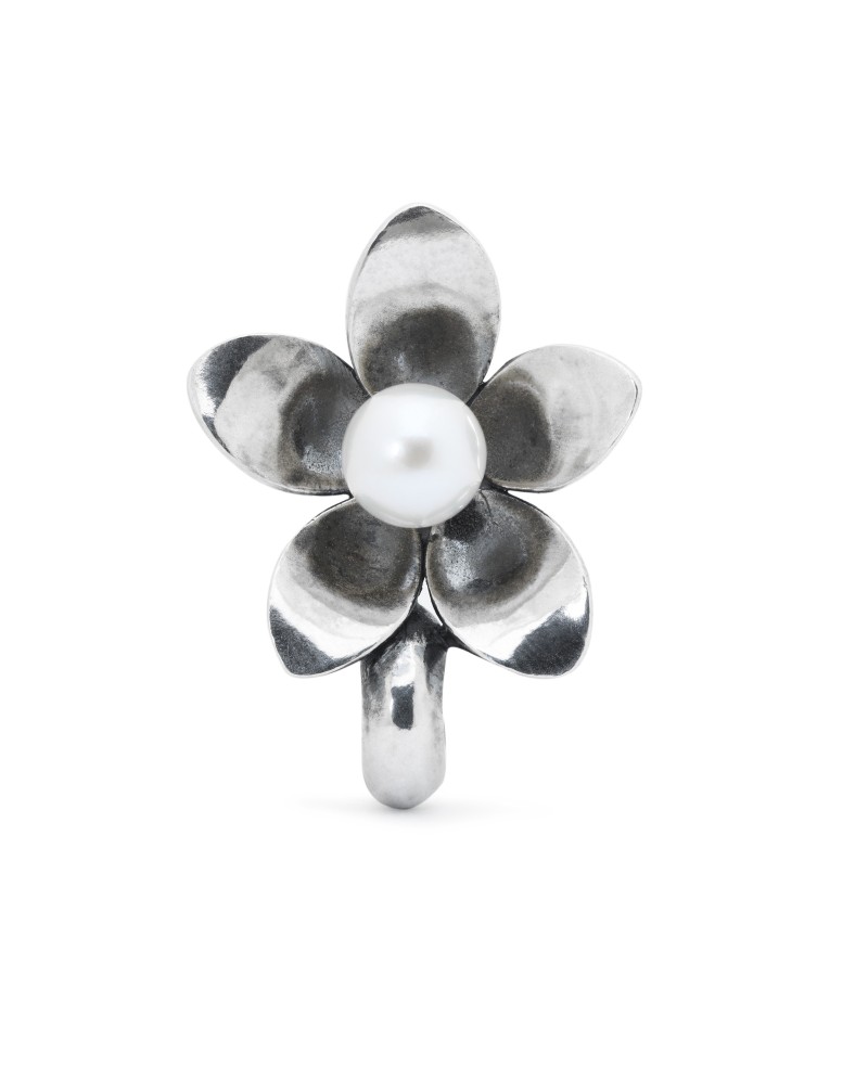 Plukė, „Stabdžiukas“