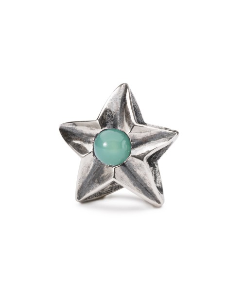 Taurus Star Bead