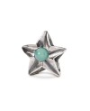 Taurus Star Bead