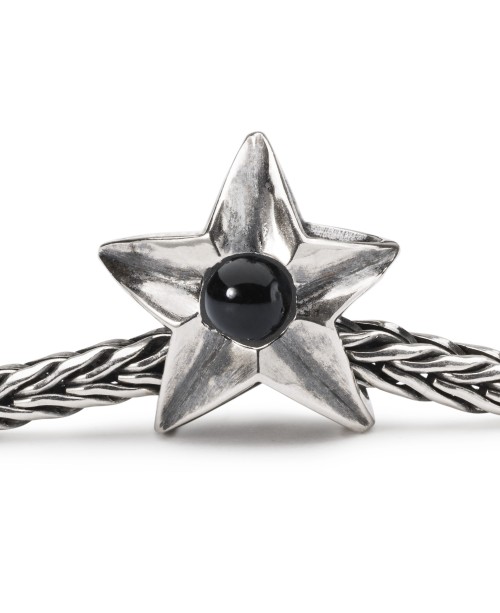 Capricorn Star Bead