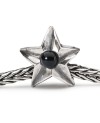 Capricorn Star Bead