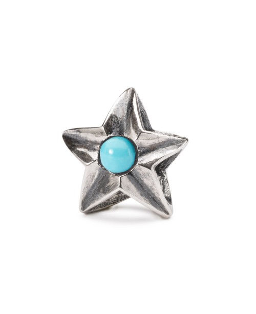 Aquarius Star Bead