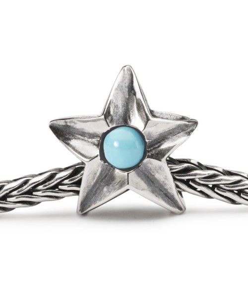 Aquarius Star Bead