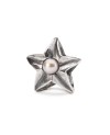 Pisces Star Bead