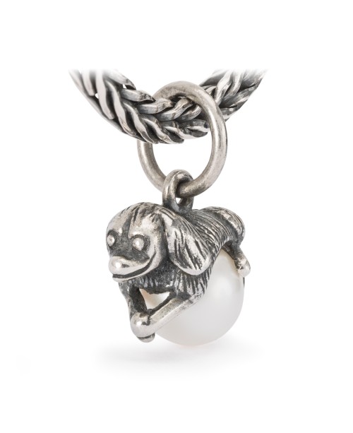 Meilės Įrodymas, Kutas