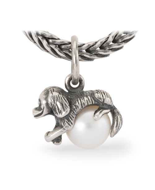 Meilės Įrodymas, Kutas