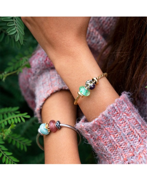 Žvaigždėtas Dangus, „Stabdžiukas“