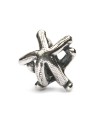 Starfish Bead