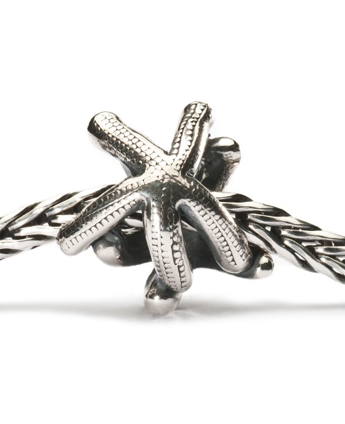 Starfish Bead