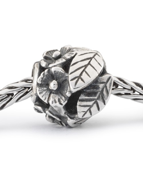 Atgimstantis Žiedas