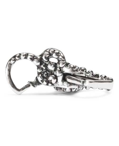Catching Hearts Clasp