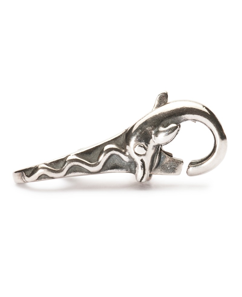 Delfinas, Užsegimas