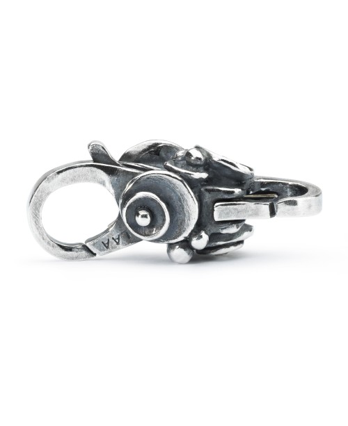 Vandens Lelijų Užsegimas