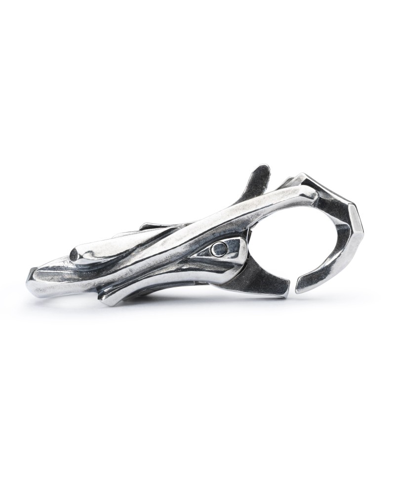 Trunk of Treasures Clasp