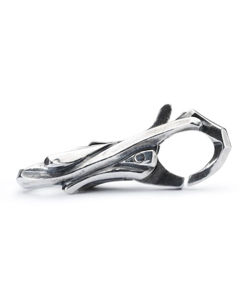 Trunk of Treasures Clasp