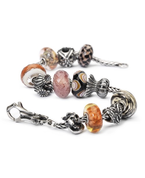 Trunk of Treasures Clasp