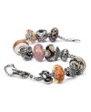 Trunk of Treasures Clasp