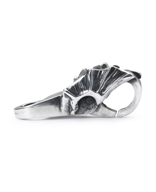 Best of Both Clasp