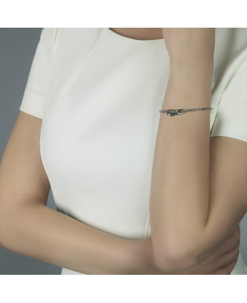 Povo Plunksna, Užsegimas