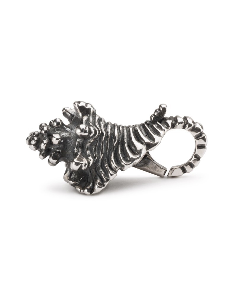 Conch Clasp