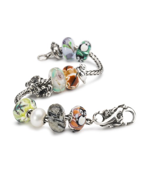 Veržlusis Driežas, Užsegimas