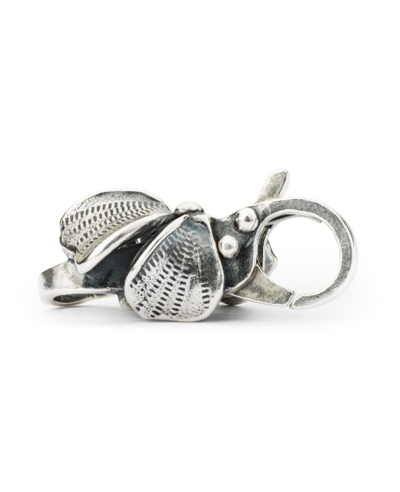 Hidden Beauty Clasp