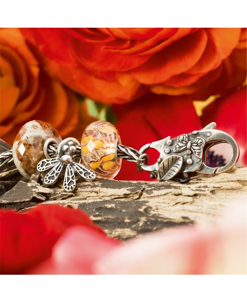 Laimės Pranašas, Užsegimas