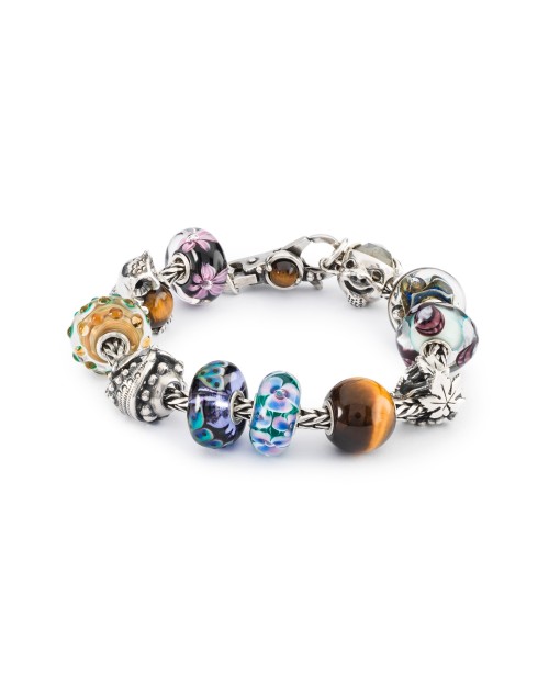 Galimybės, Užsegimas