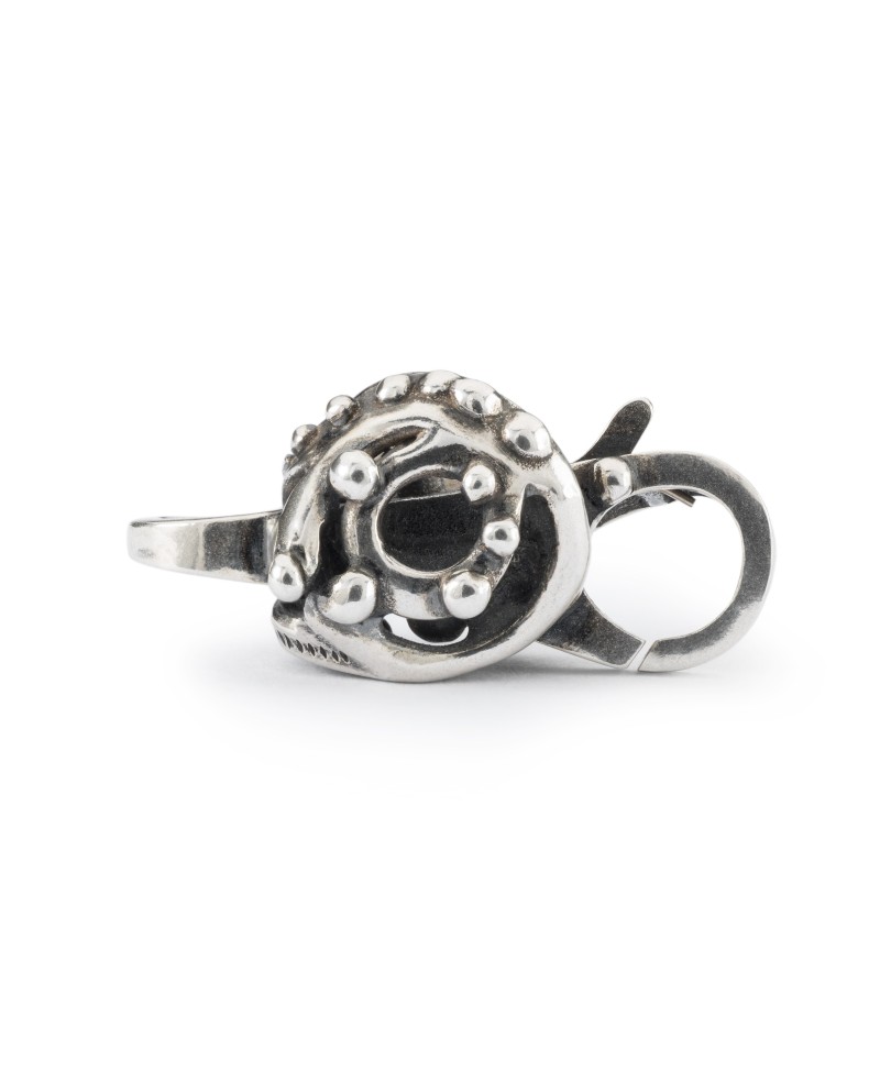 Five Senses Clasp