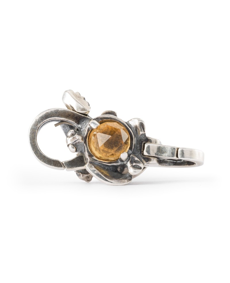 Turtle Clasp
