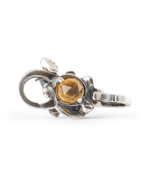 Turtle Clasp