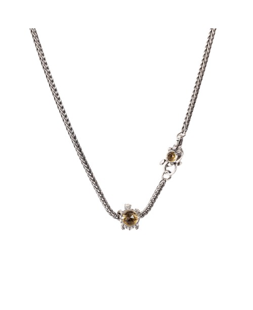 Turtle Clasp