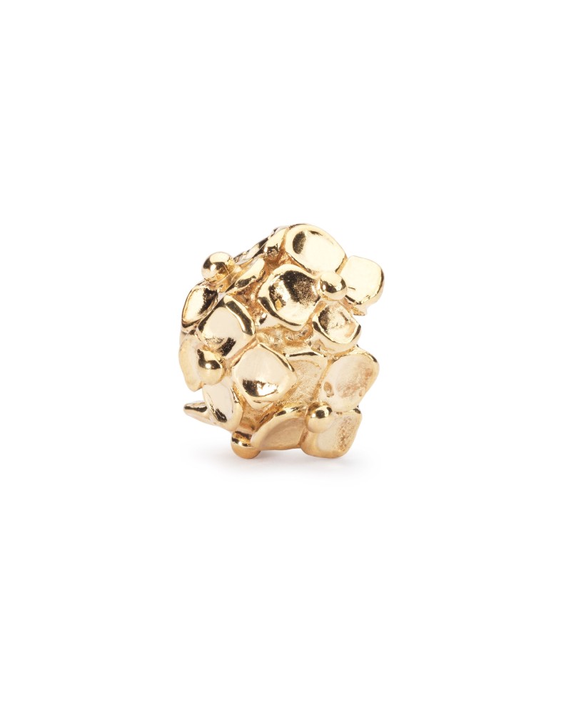Hydrangea, Gold Bead