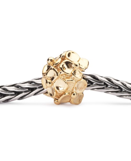 Hydrangea, Gold Bead
