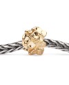 Hydrangea, Gold Bead