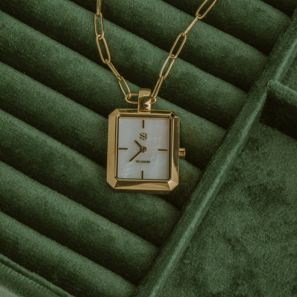 Stainless steel gold | White mother of pearl dial