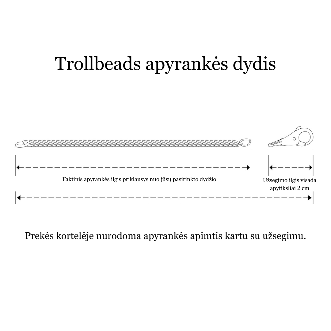 Sidabro Apyrankė (be užsegimo)